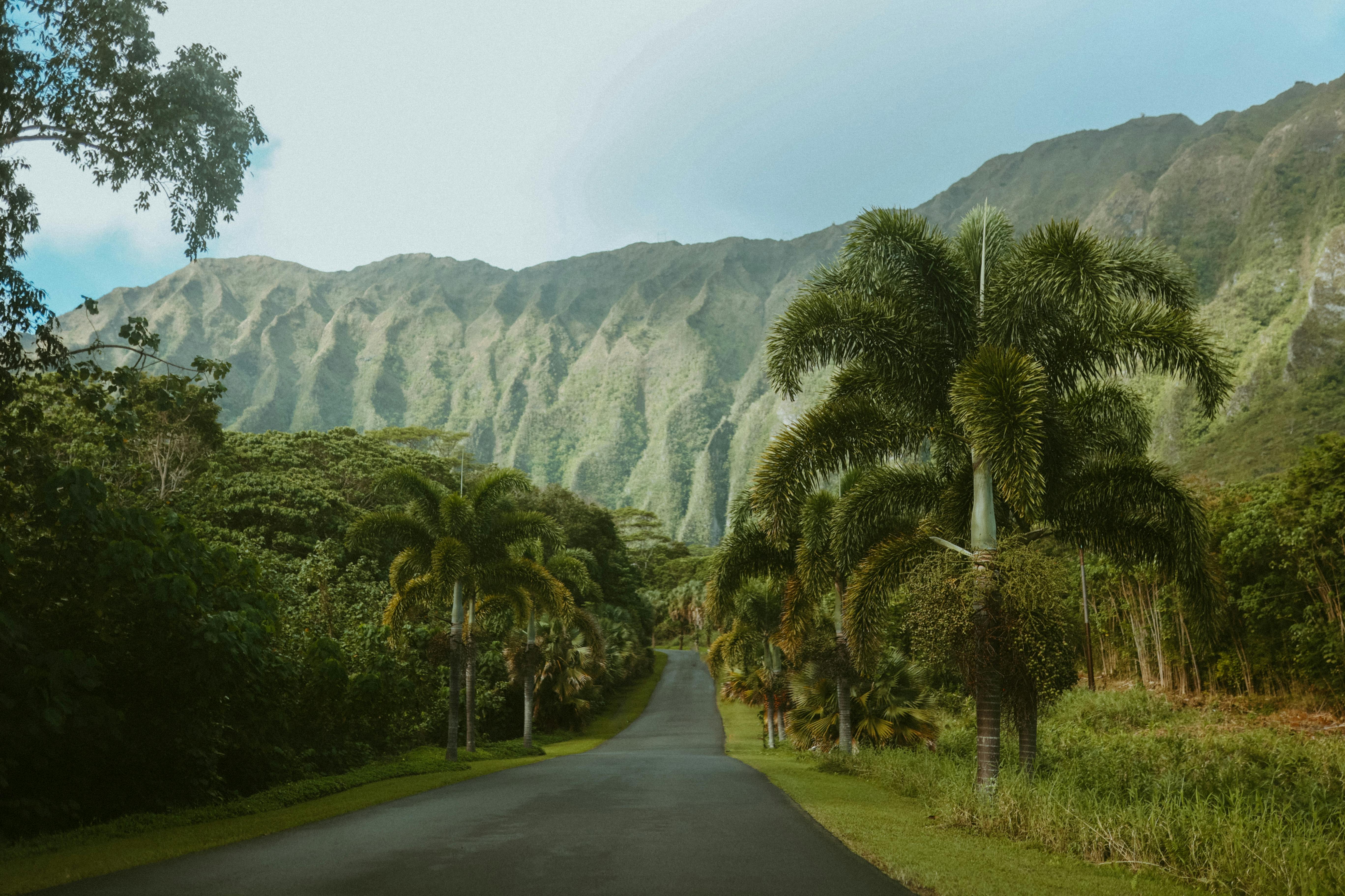 hawai